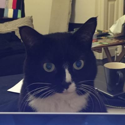 I like making things, computing and cats.