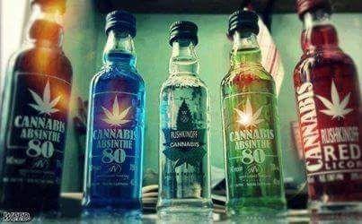 SimsGims's profile picture. 