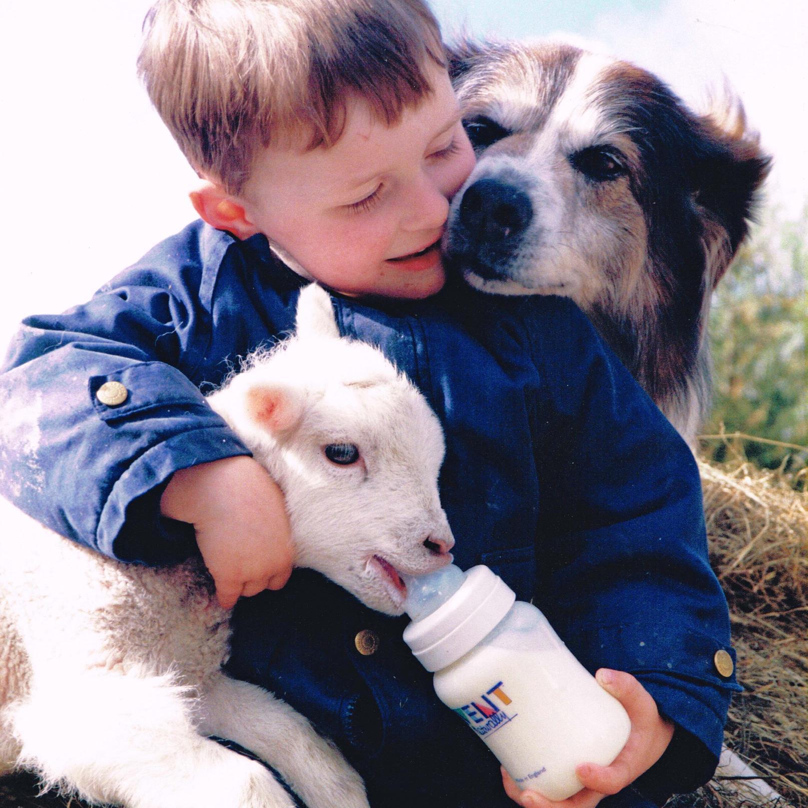 A family-run farm producing beef, lamb and pork from mid-Devon's green pastures,along with farmhouse B&B