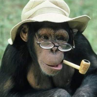 New funny pics every day! Why need to be sad when you can laugh?!