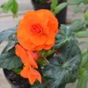 Fanny Torres Granda - @fantorres31 - Twitter