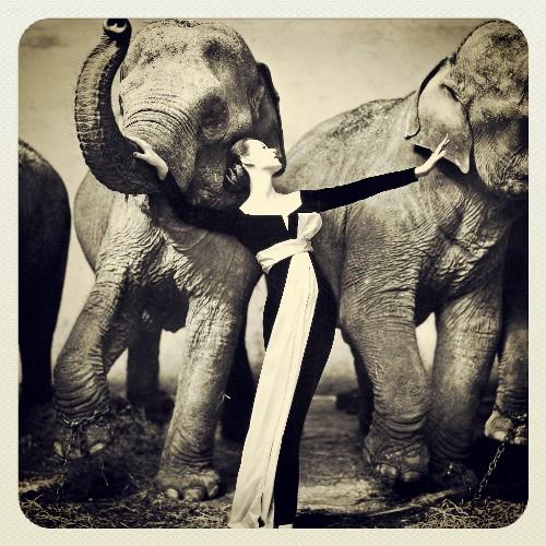 SeymourMios's profile picture. Wife, mother of three boys, sister, aunt, friend, museum professional, Star Wars geek, and fan of Los Tigres!