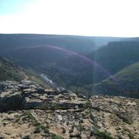 miseyri (@miseriili) Twitter profile photo