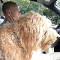 Bill S (@william_sacrey) 's Twitter Profile