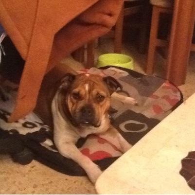 Miriam31g's profile picture. 