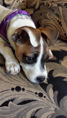 jomemm's profile picture. 