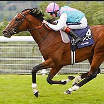 tlgtlg3's profile picture. 