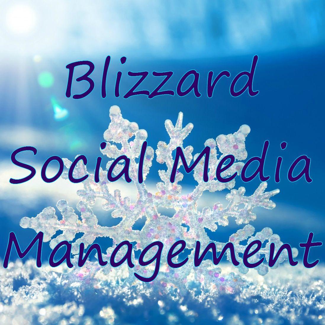 BlizzardSMM's profile picture. 