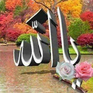 8331e1bba2704b3's profile picture. 