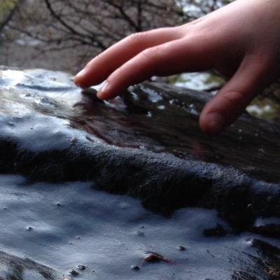 SPWoodcraft's profile picture. Staffordshire Peak District Woodcraft Families - a new group forming