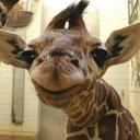 Leslie Hershey - @hershey2615 - Twitter