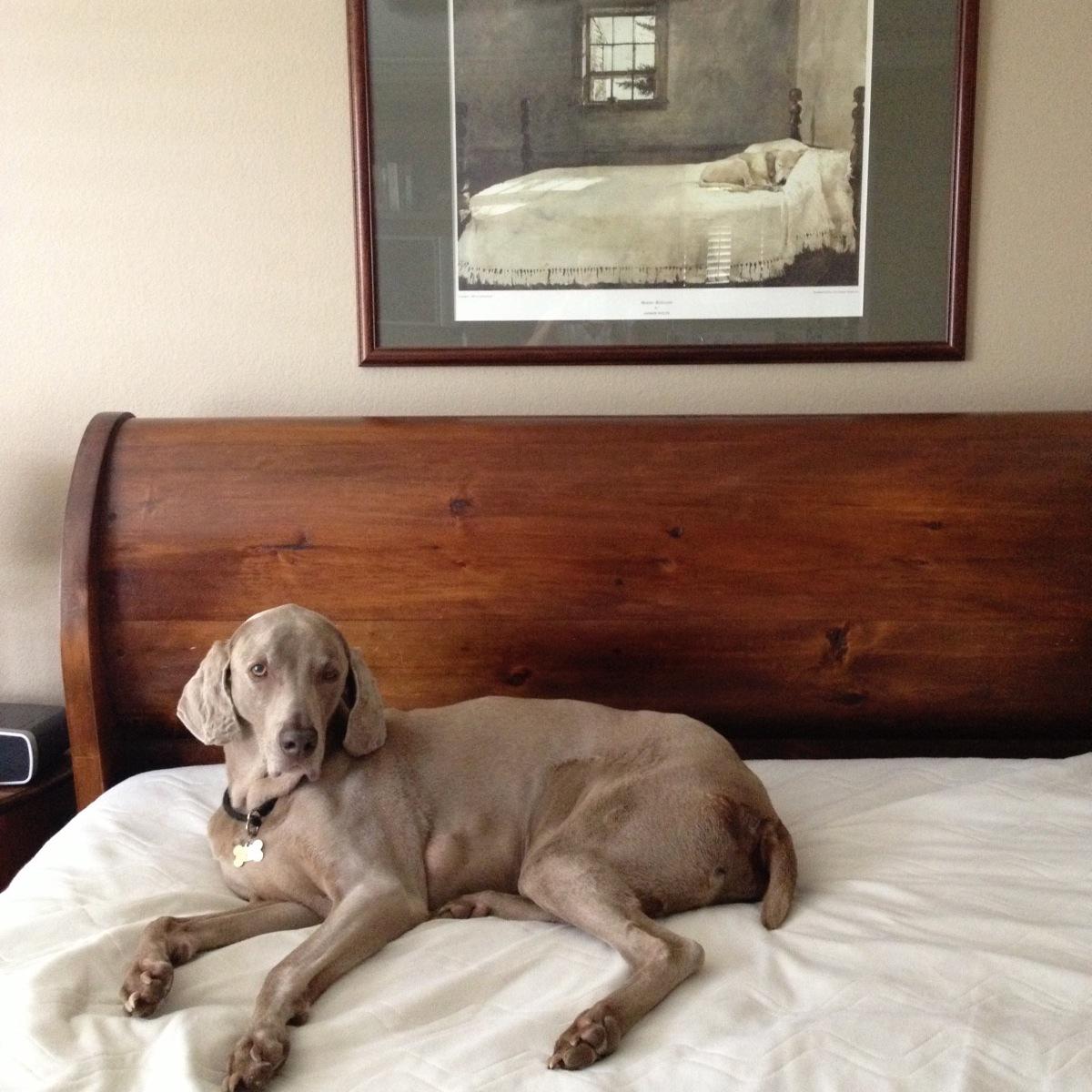 PaullConn's profile picture. 