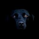 Ste - @stephen_hull - Twitter