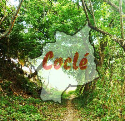 ♻Somos coclesanos, queremos a Coclé y todo Panamá verde y limpio. ♥ Unete a nuestras actividades ambientales
@penonomeleoclub