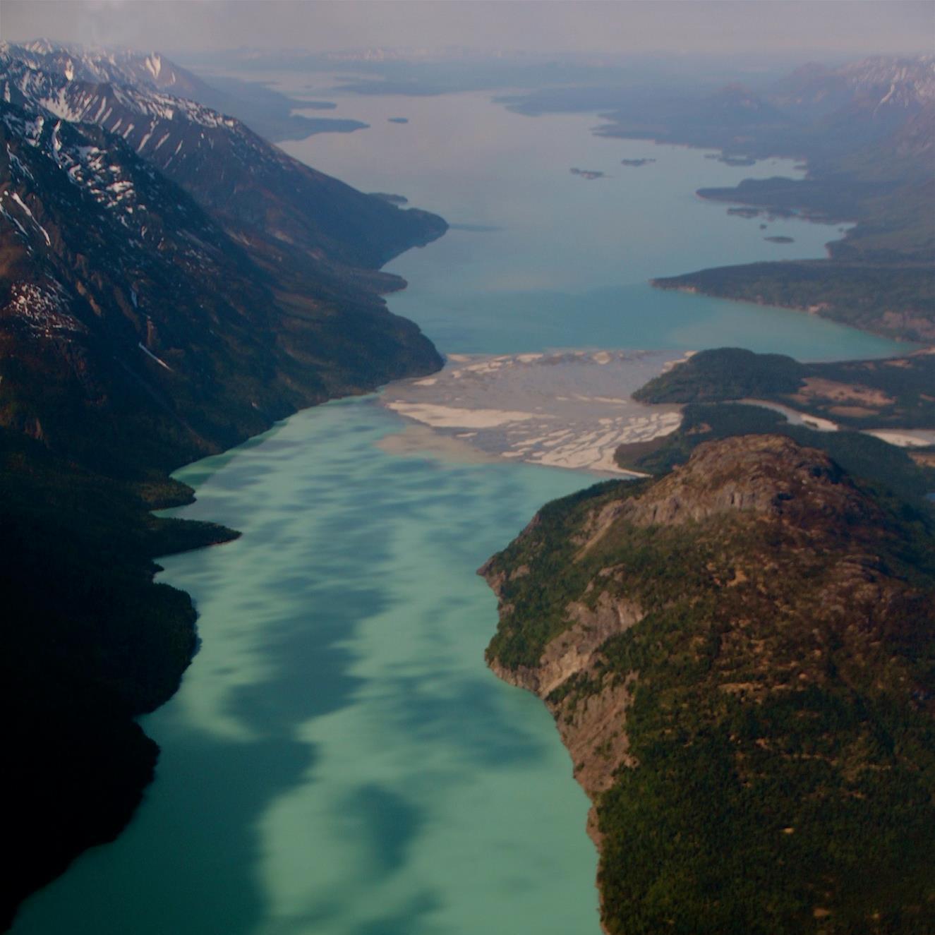 cmercaldi's profile picture. 