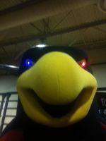 Official Mascot for Chaparral Highschool