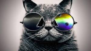 f4f