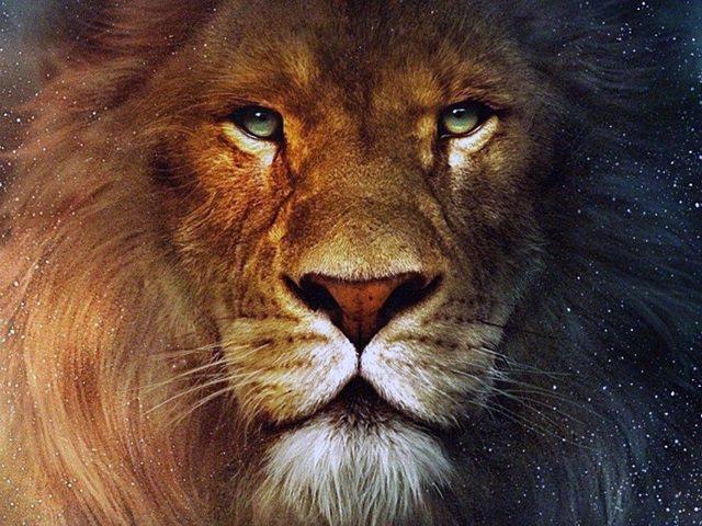 pumagokuleodra1's profile picture. 