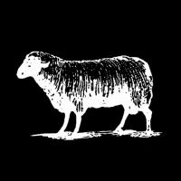 BlackSheepSkateShop (@blacksheepnc) 's Twitter Profile