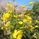 .. (@5774210644c) Twitter