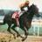 Forego4Ever's profile image