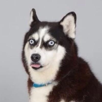 XanderTheNerd's profile picture. 