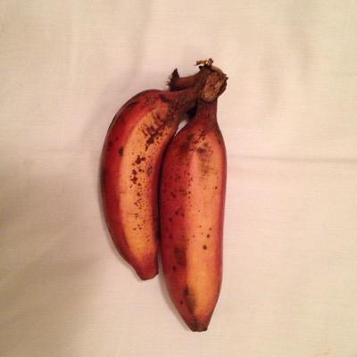 ことばのせかいを知るために、Twitter にダイブしてみます。英語だけじゃない。標準語だけじゃない。