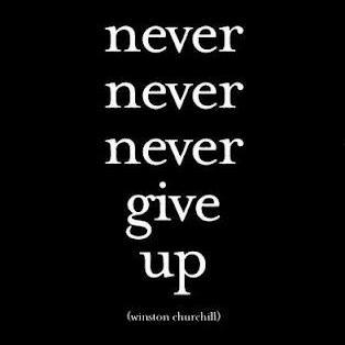 We're dedicated to helping you to never give up, and we always follow back. #NeverGiveUp #TeamFollowBack