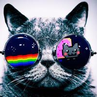 Nolan  (@chompamc) 's Twitter Profile