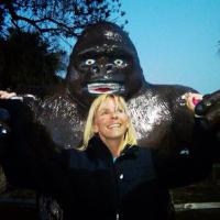Kim Batchelder (@kimsbatchelder) 's Twitter Profile