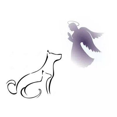 Hard times hurt people & their pets. I want to help. Also lover of GSP dogs! Houston, Texas area.