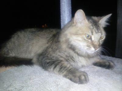 ch_herrer's profile picture. 