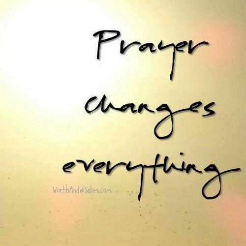 peterkuria00's profile picture. 