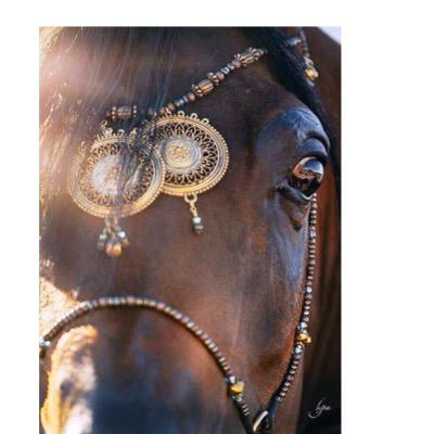 akaberal's profile image