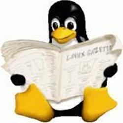 Senior software development consultant