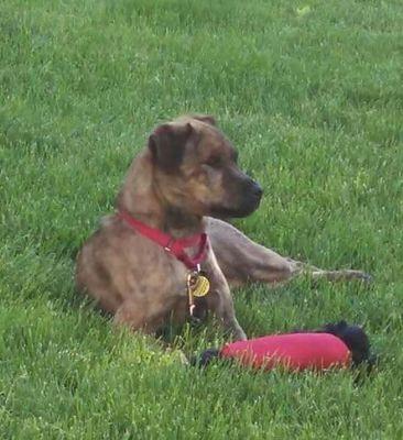 MundstockM's profile picture. 