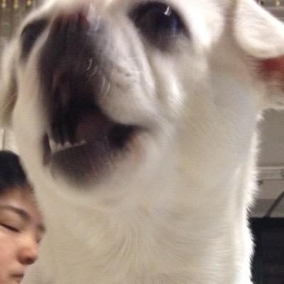 why theres no China in twitter's country llist?