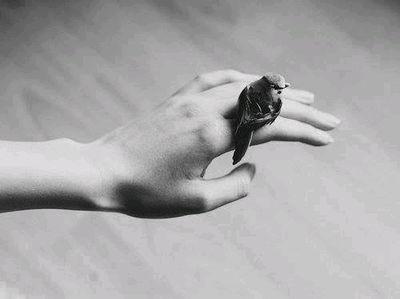 wrg3346g's profile picture. ‏‏اسلام