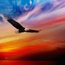 Jim Royer - @TankertoadsJ - Twitter