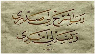 shawky123561's profile picture. 