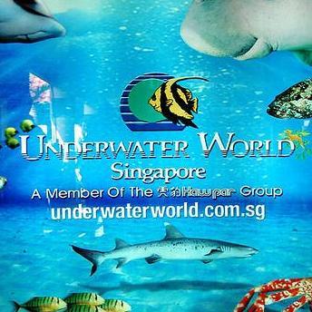 uwsSG's profile picture. this is not a real account, its a project account.