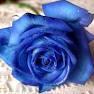 Don't wait for perfect moment present moment make it perfect