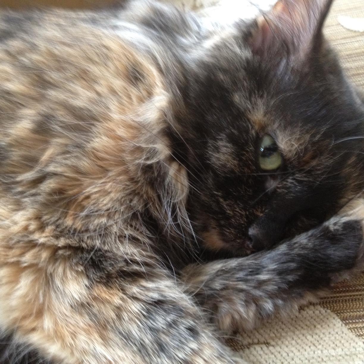 mokinalubow's profile picture. 