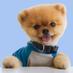 Jiff the dog (@jiffthedogfpage) Twitter profile photo Jiff the dog (@jiffthedogfpage) Twitter profile photo
