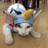 MyCatNinja's profile image