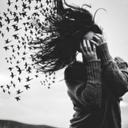 Sue Blue - @SueSoBlue - Twitter