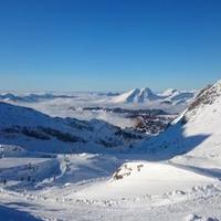 Dave Tresidder (@davetres01) 's Twitter Profile