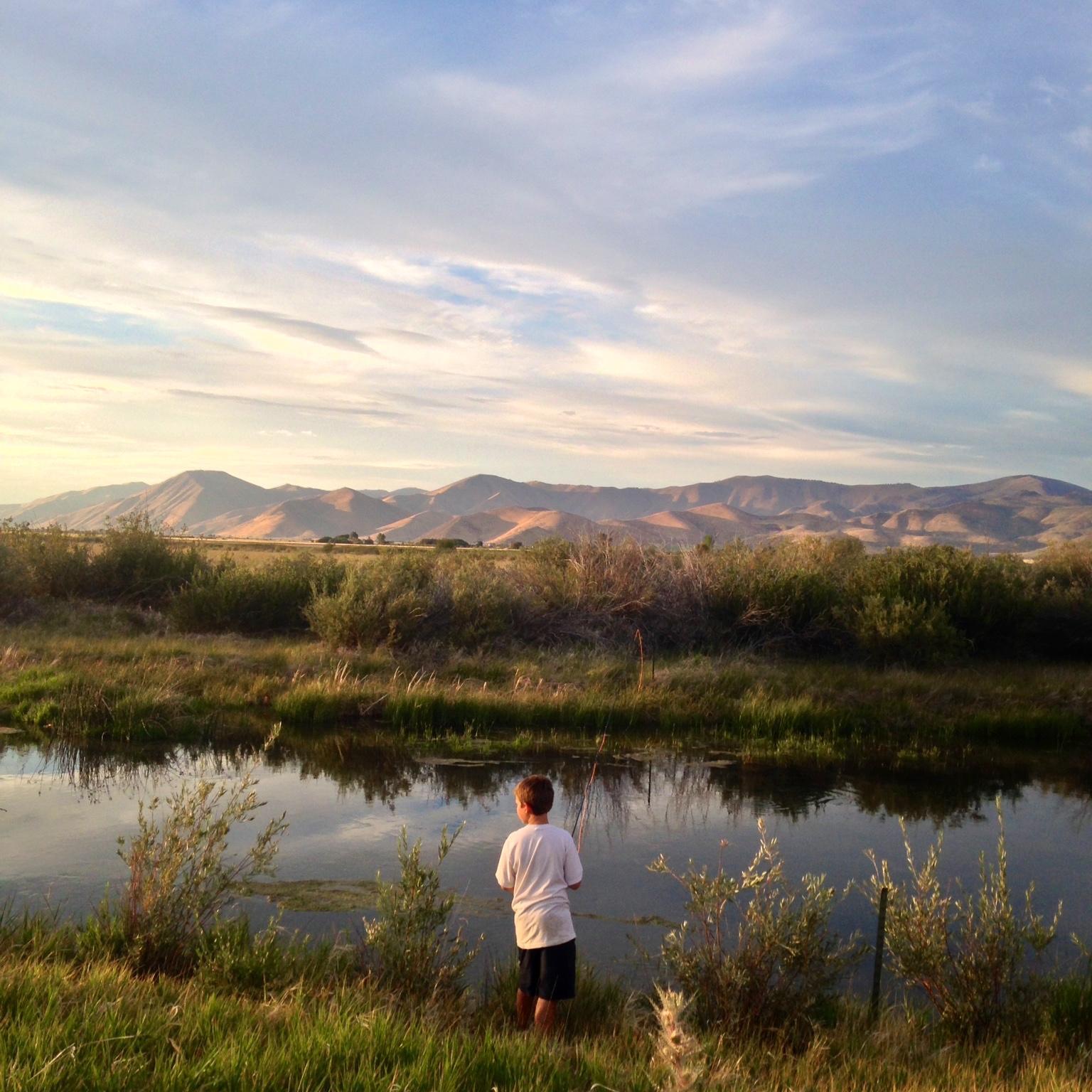 Idaholandtrusts's profile picture. 