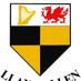 LLan & Glyn C RFC (@llanglynrfc) Twitter profile photo