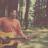 ditkudit's profile image